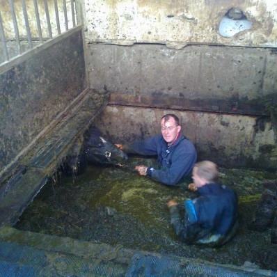 Hestum bjargað úr haughúsi