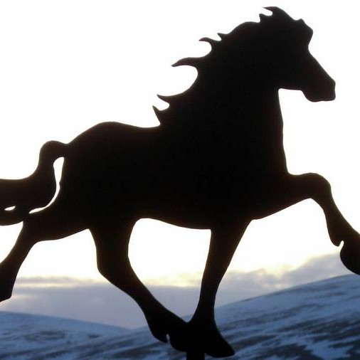 Úrslit Skagfirsku mótaraðarinnar