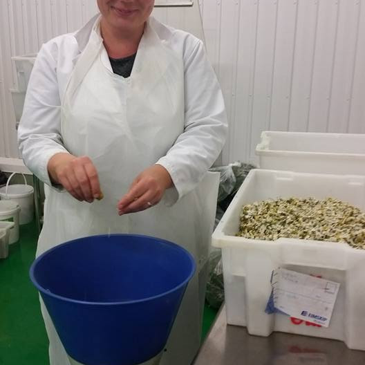 Hildur Þóra Magnúsdóttir, framkvæmdastjóri Pure Natura að störfum hjá fyrirtækinu, sem sérhæfir sig í framleiðslu fæðubótaefna sem unnin eru úr 
íslenskum lamba innmat og íslenskum jurtum. Mynd: Pure Natura.