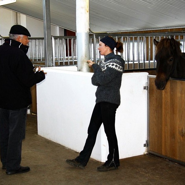 Glæsileg aðstaða hrossaræktarbúsins á Hofi