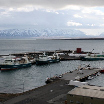 Aflatölur við Hofsós- og Sauðárkrókshafnir