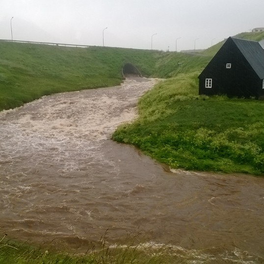 Vatnavextir í Hofsá