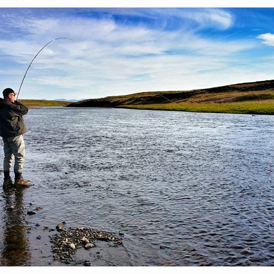 Helmingi fleiri laxar en allt síðasta sumar