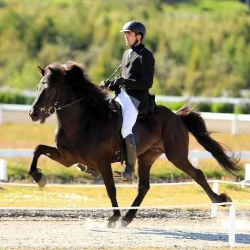 Flugumýri II valið Hrossaræktarbú Skagafjarðar