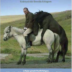 Hross í oss í Selasetrinu