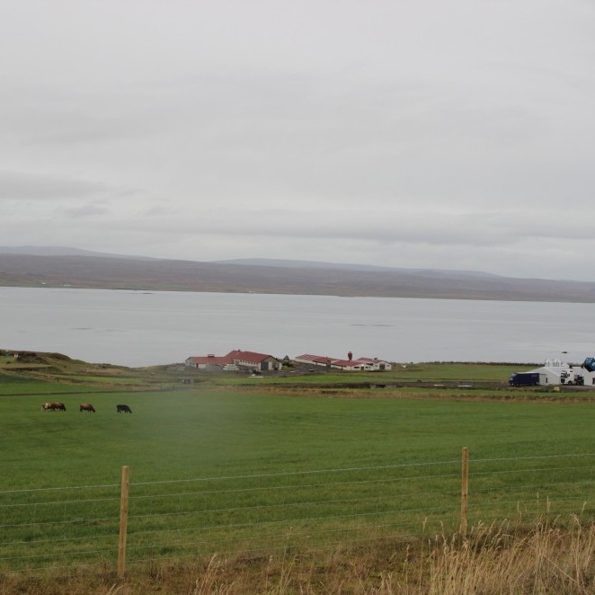 Úr Hrútafirði. Mynd: KSE