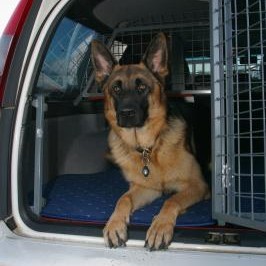 Leitarhundur heimsækir heimavistina