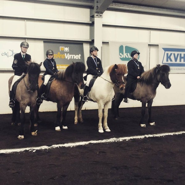 Víðidalurinn sigrar Húnvetnsku liðakeppnina 2015