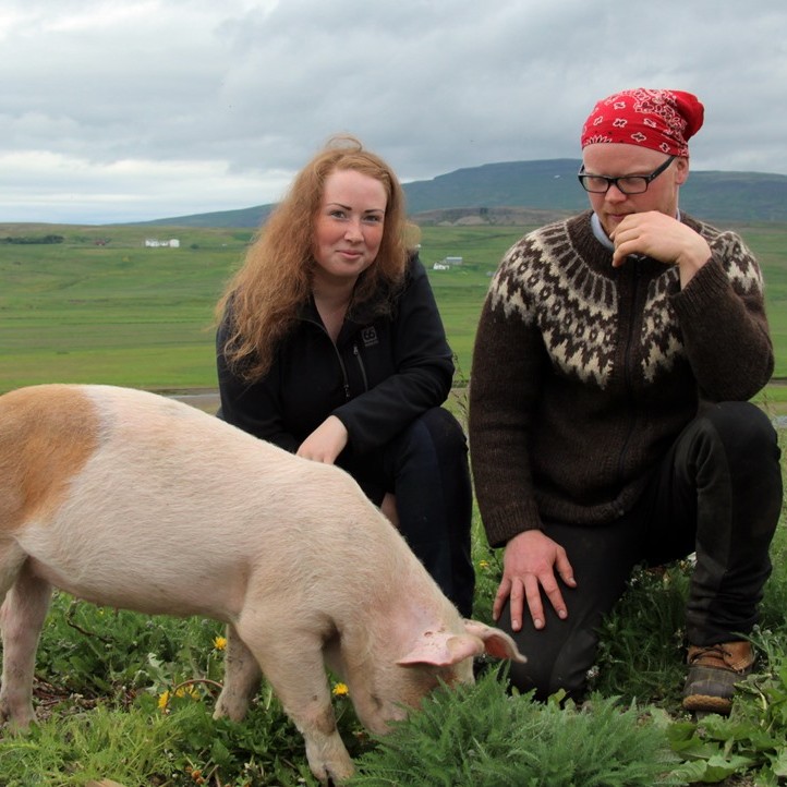 Dýrin bræða fullorðna jafnt sem börn