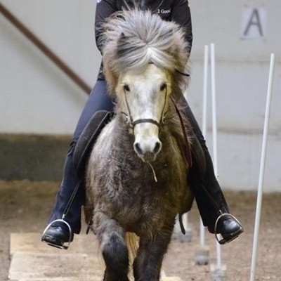 Skemmtilegt og spennandi mót að baki