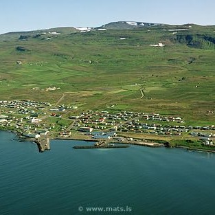 Laus staða sálfræðings