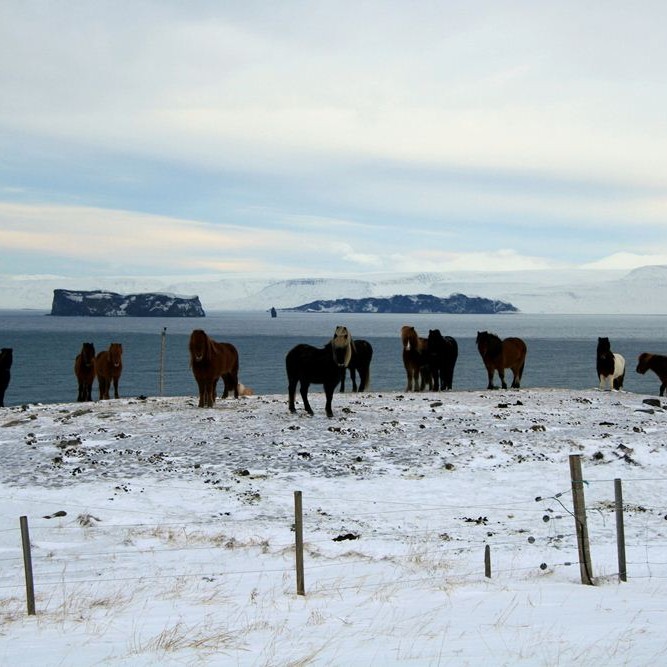 Skagafjörður í vetrarbúningi