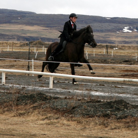 Hestaíþróttamót UMSS