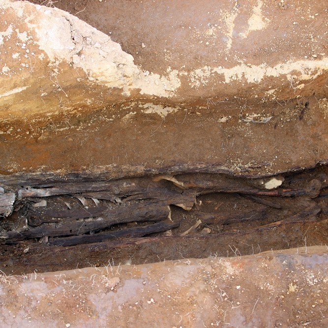 43 grafir hafa fundist hingað til/Mynd: BG