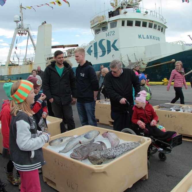 Svipmyndir frá Sjávarsælu á Sauðárkrókshöfn