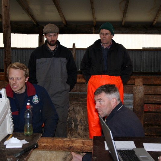 Úrvalsgripunum fjölgar, ræktunin sífellt að batna