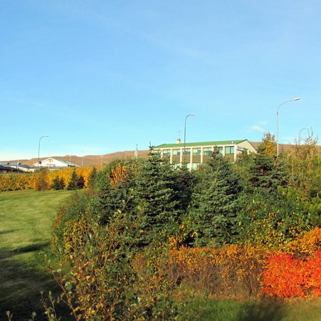 Fjölskyldudagur í Ásdísarlundi í Miðfirði