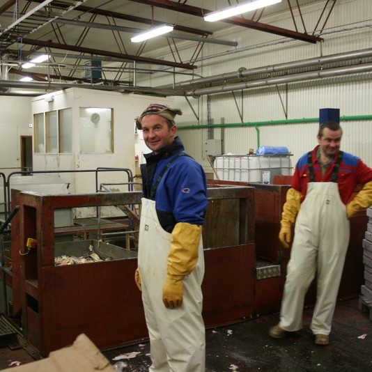 Ammoníakleki í Fóðurstöðinni Gránumóum