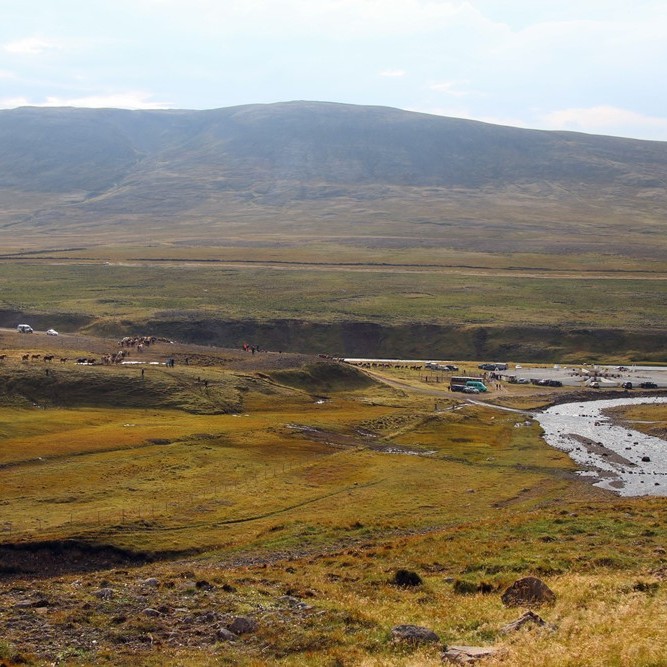 Bjart yfir mönnum og hrossum í Skrapatungurétt