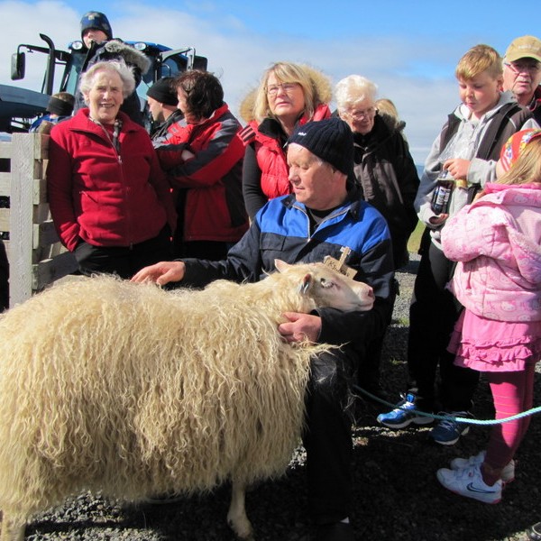 Íslandsmót í hrútadómum laugardaginn 16. ágúst