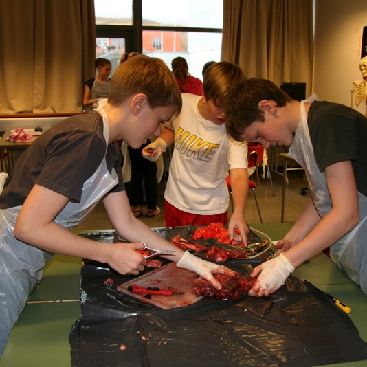 Krufning í Árskóla