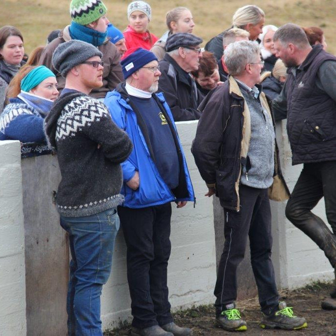 Réttað í Víðidalstungurétt - Myndasyrpa