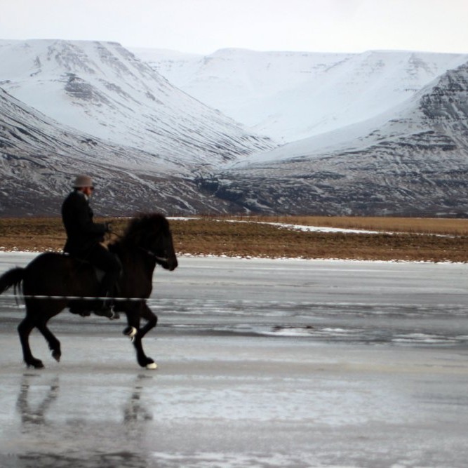 Myndskeið frá Mjúkísmóti