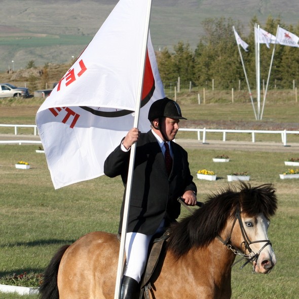 Myndband af hópreið hestamanna á Melunum í gær