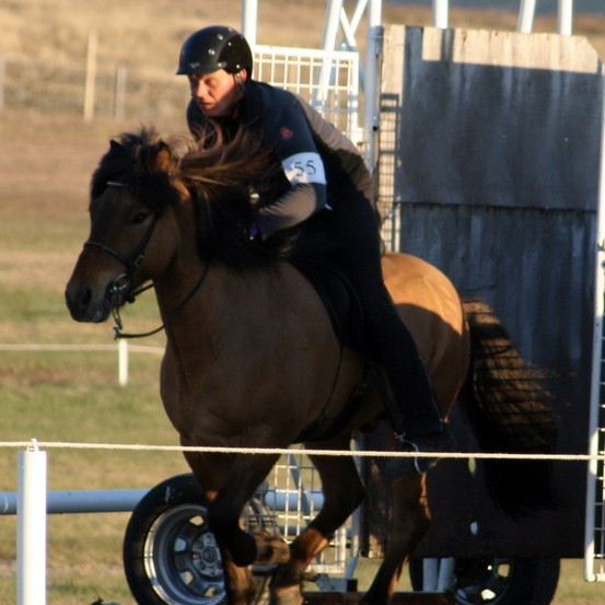 Landslið Íslands í hestaíþróttum fullskipað