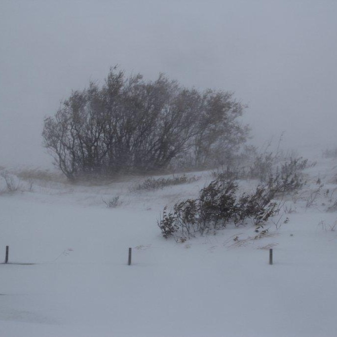 Svipmyndir frá stórhríðinni á Hvammstanga