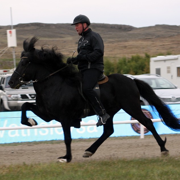 Frábær ræktunarbúasýning