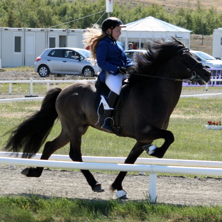 Þrjú skagfirsk börn í topp fimm