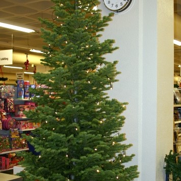 Mikið um að vera á Íþróttadegi Árskóla