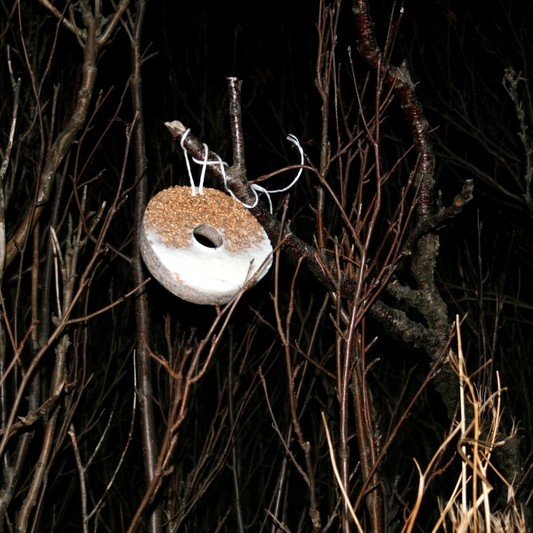 Sönglög á aðventu - Myndir