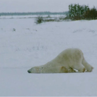 Skjáskot af Woman's Day Magazin.