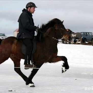 Ístölt á Hnjúkatjörn