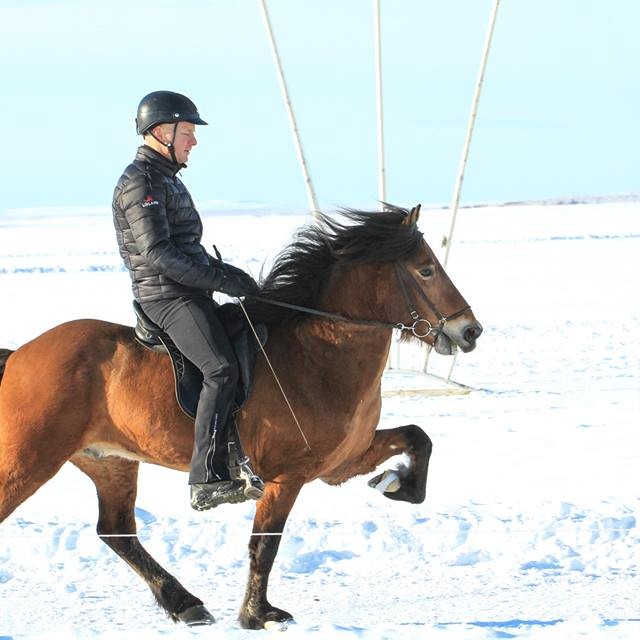 Jakob Sigurðsson og Hersir frá Lambanesi, sigurvegarar í A-flokki. Mynd: Ægir Sigurgeirsson.