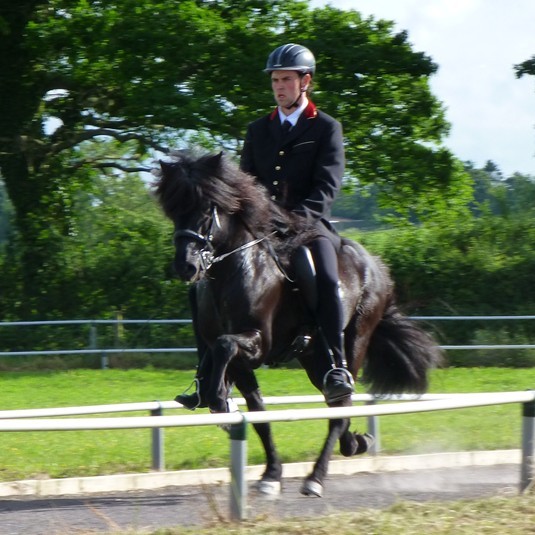 Hestamaður í Húnaþingi á leið á HM