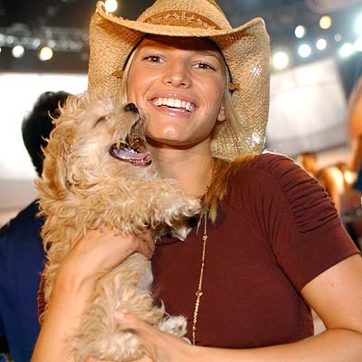 Hollywoodhorn vikunnar