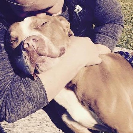 Hundanámskeið í Skagafirði