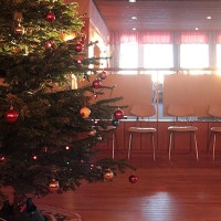 Jólaballi í Ásbyrgi hefur verið frestað um óákveðinn tíma.