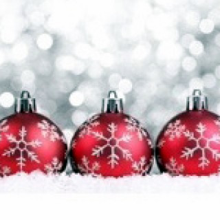 Jólamarkaður og kveikt á jólatré á Hvammstanga