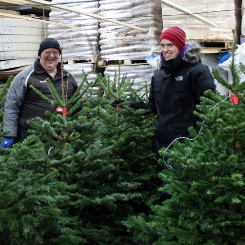 Jólatrén rjúka út