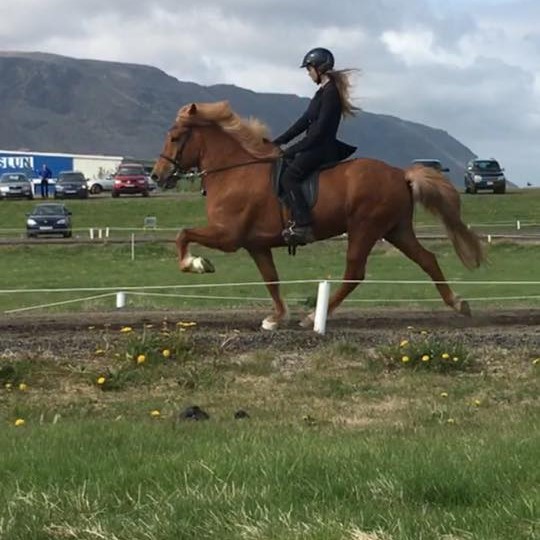 Júlía Kristín Pálsdóttir og Kjarval frá Blönduósi.