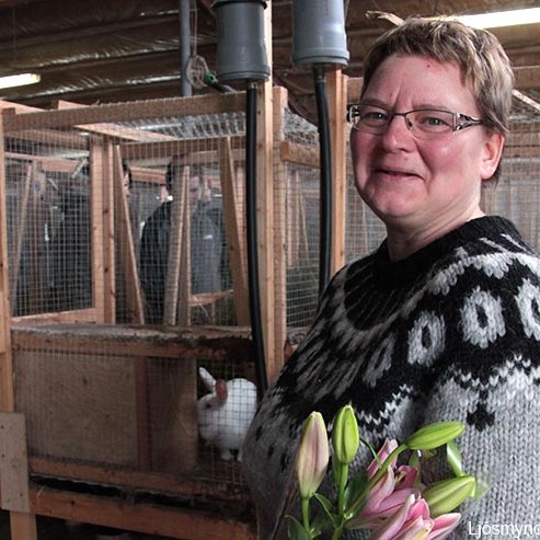 Opið hús hjá Kanínu á Syðri-Kárastöðum