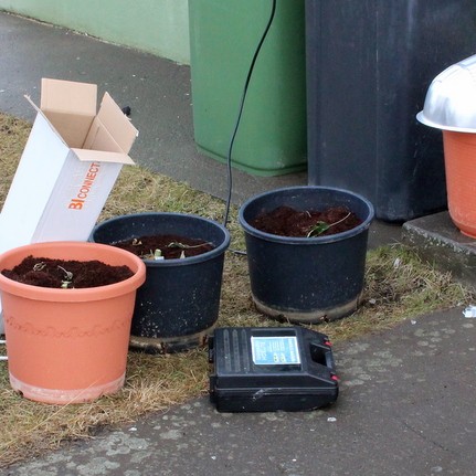 Kannabisræktun í heimahúsi á Króknum