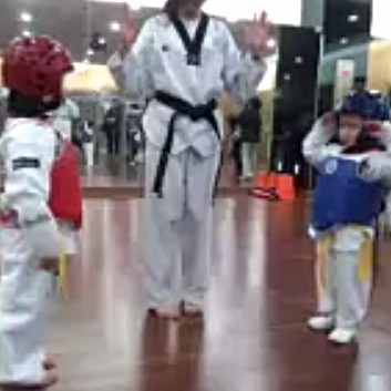 Krúttlegt bardagalistar-myndband