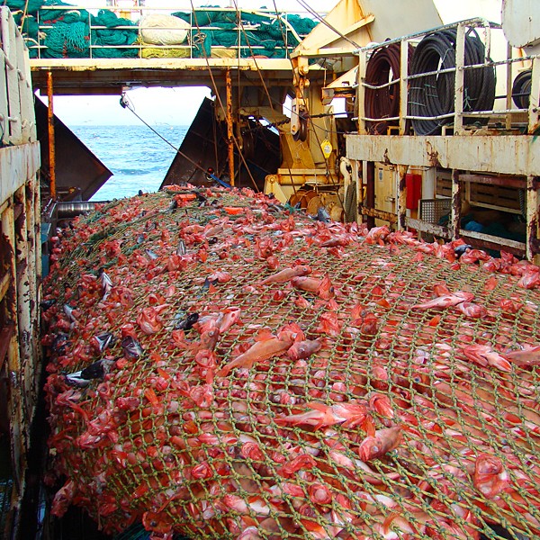 Atvinnu- og ferðamálanefnd leggur til breytingu á skyldum þeirra sem fá úthlutað byggðakvóta