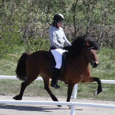 Úrslit úrtöku og gæðingamóts Þyts