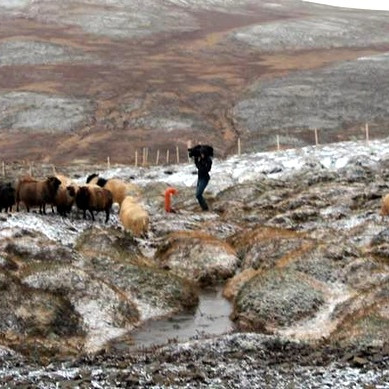 Myndatökumaður þýska sjónvarpsins Bayerischer Rundfunk að störfum hjá Karólínu í Hvammshlíð sem á myndina og birti á Fésbókinni sinni.